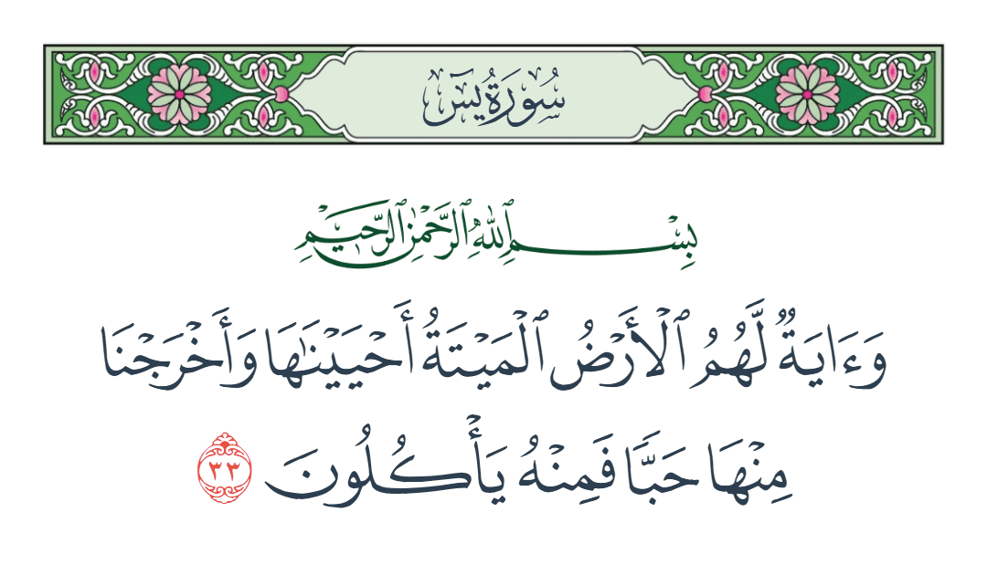  سورة يس الآية رقم 33