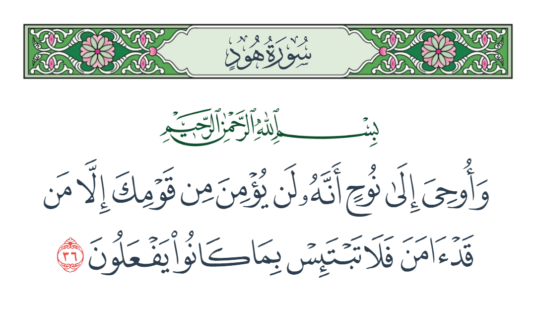  سورة هود الآية رقم 36