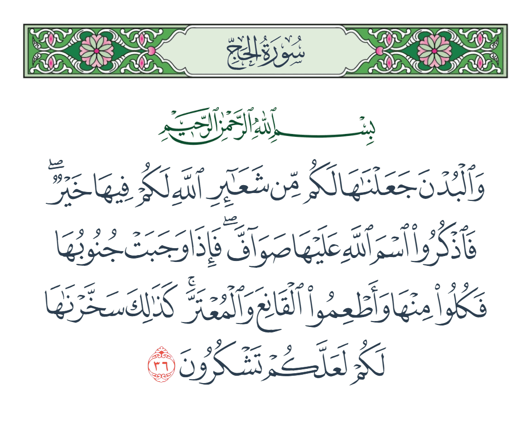  سورة الحج الآية رقم 36