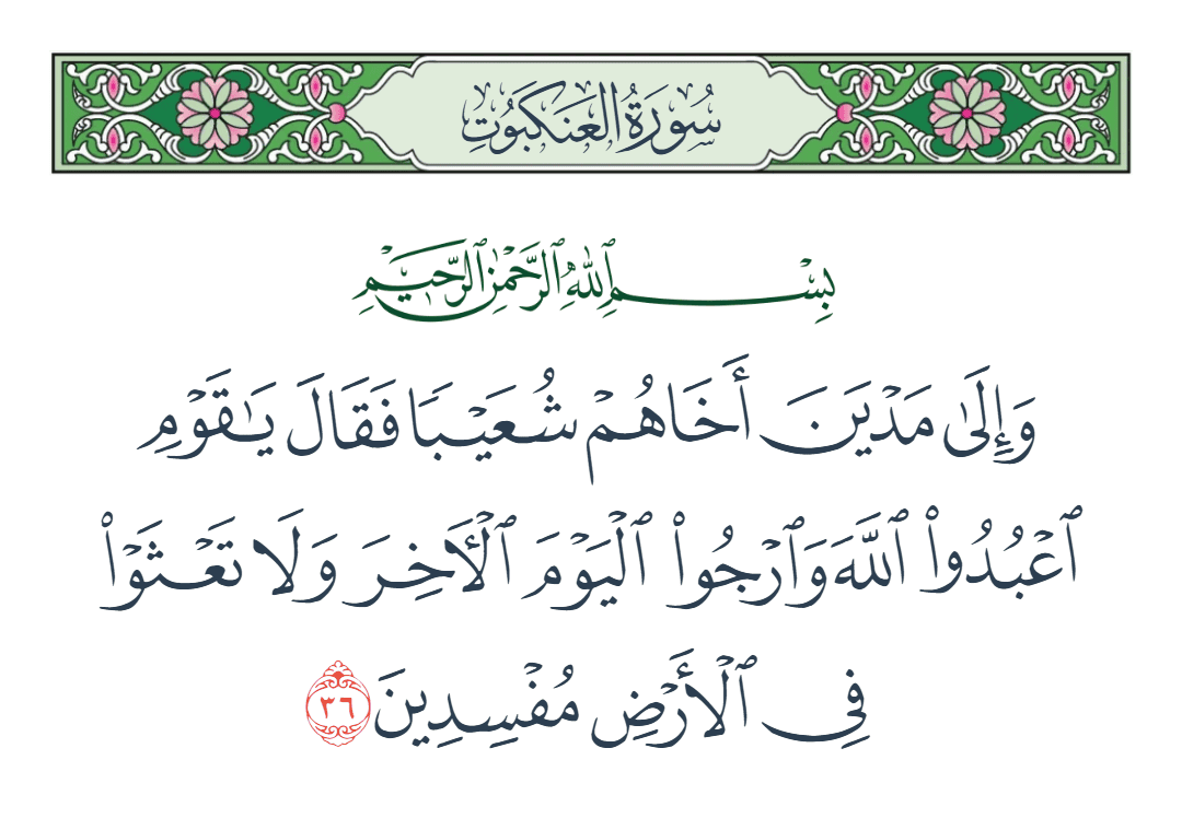  سورة العنكبوت الآية رقم 36