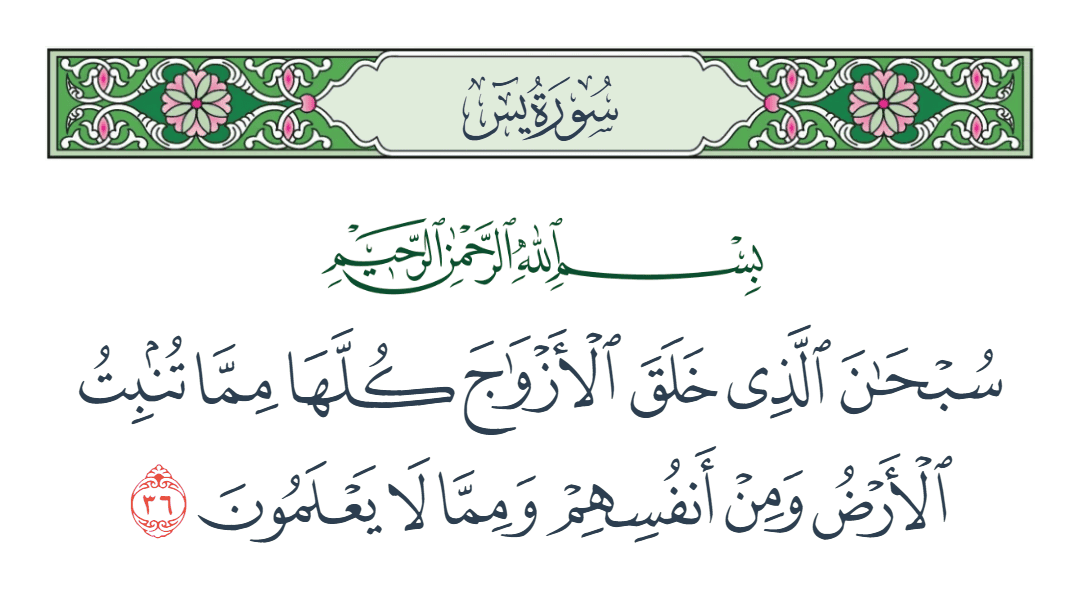  سورة يس الآية رقم 36