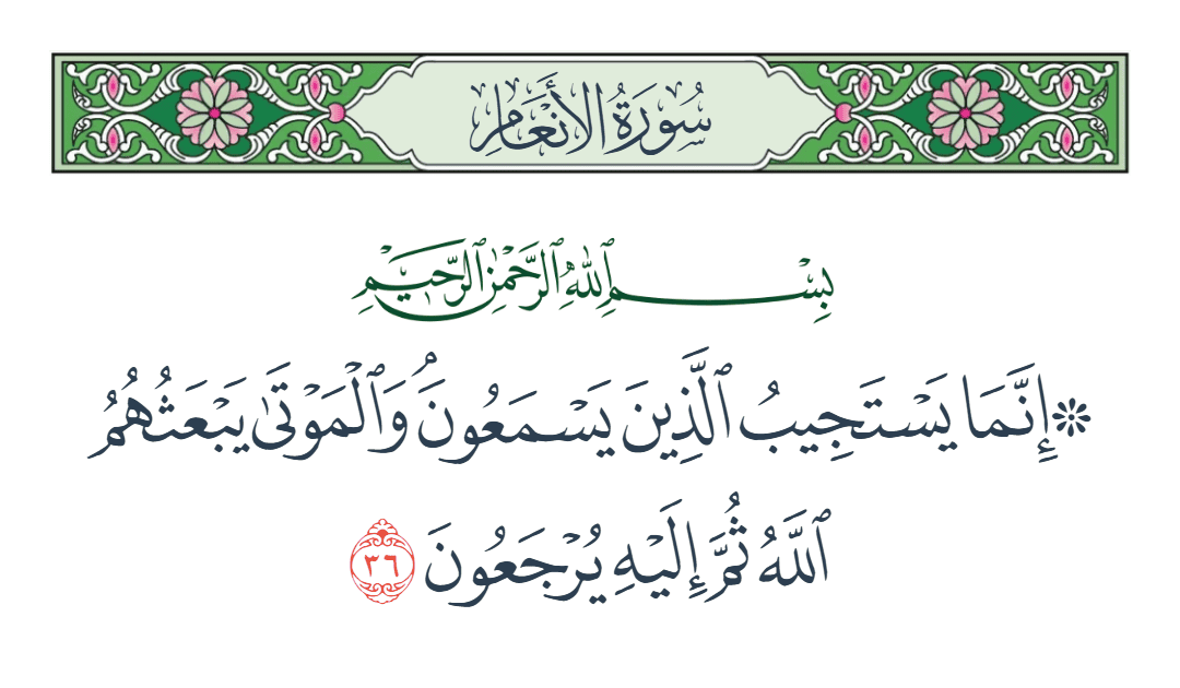  سورة الأنعام الآية رقم 36