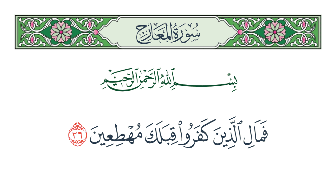  سورة المعارج الآية رقم 36