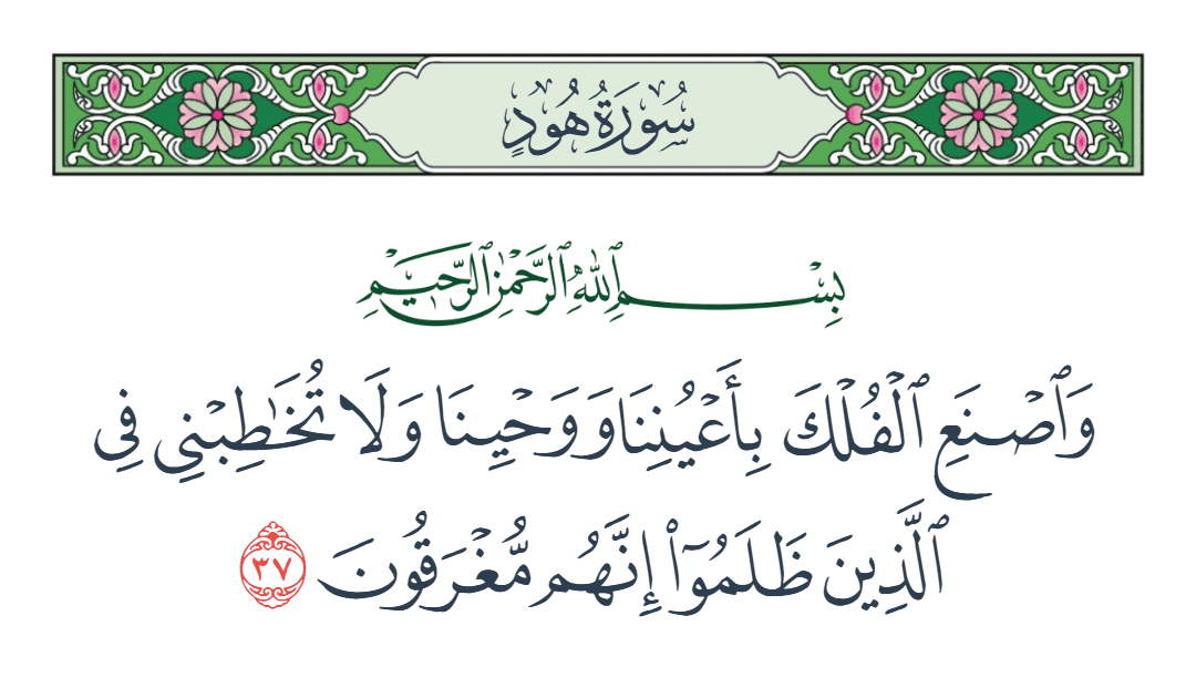  سورة هود الآية رقم 37