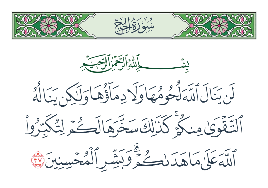  سورة الحج الآية رقم 37