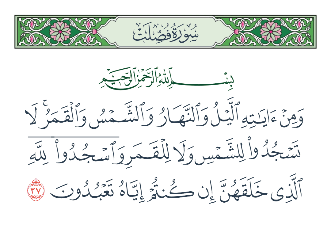  سورة فصلت الآية رقم 37