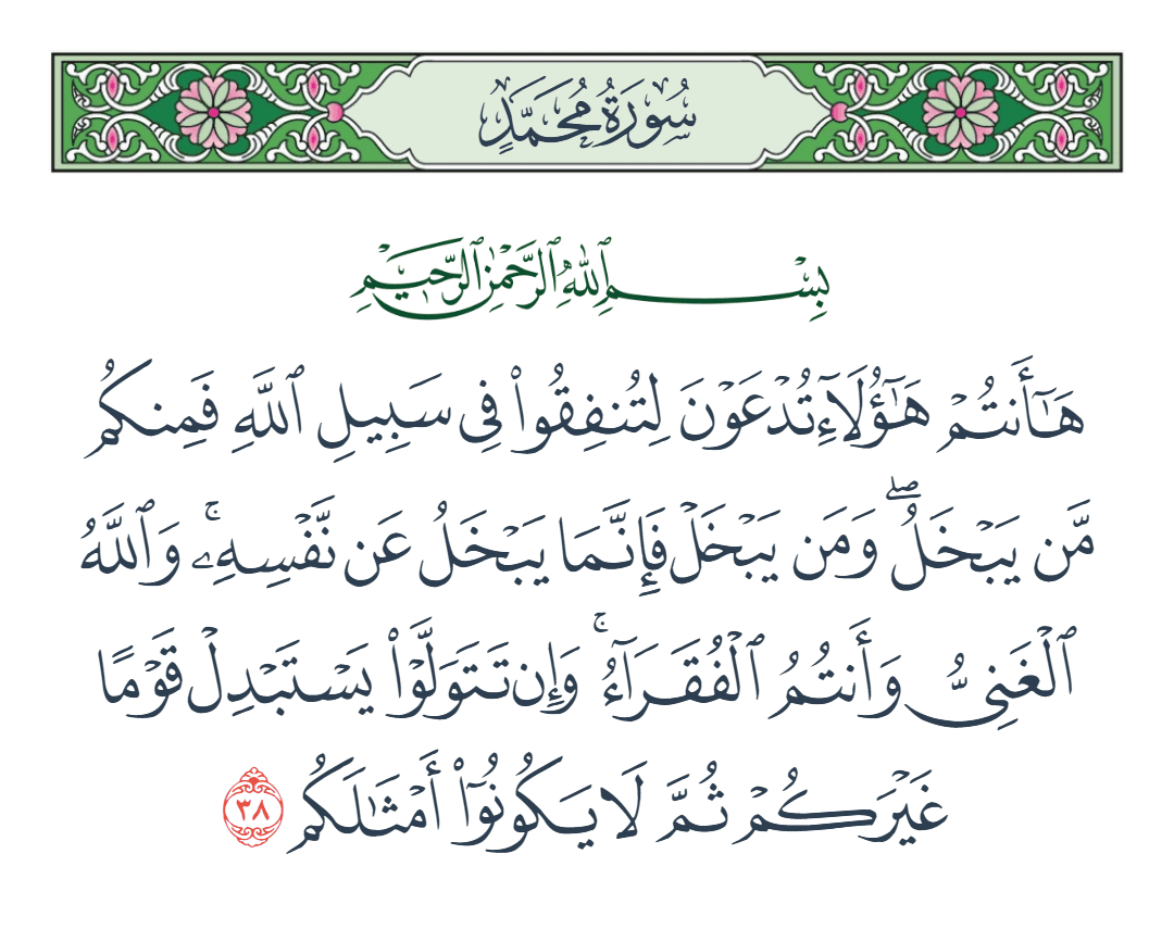  سورة محمد الآية رقم 38