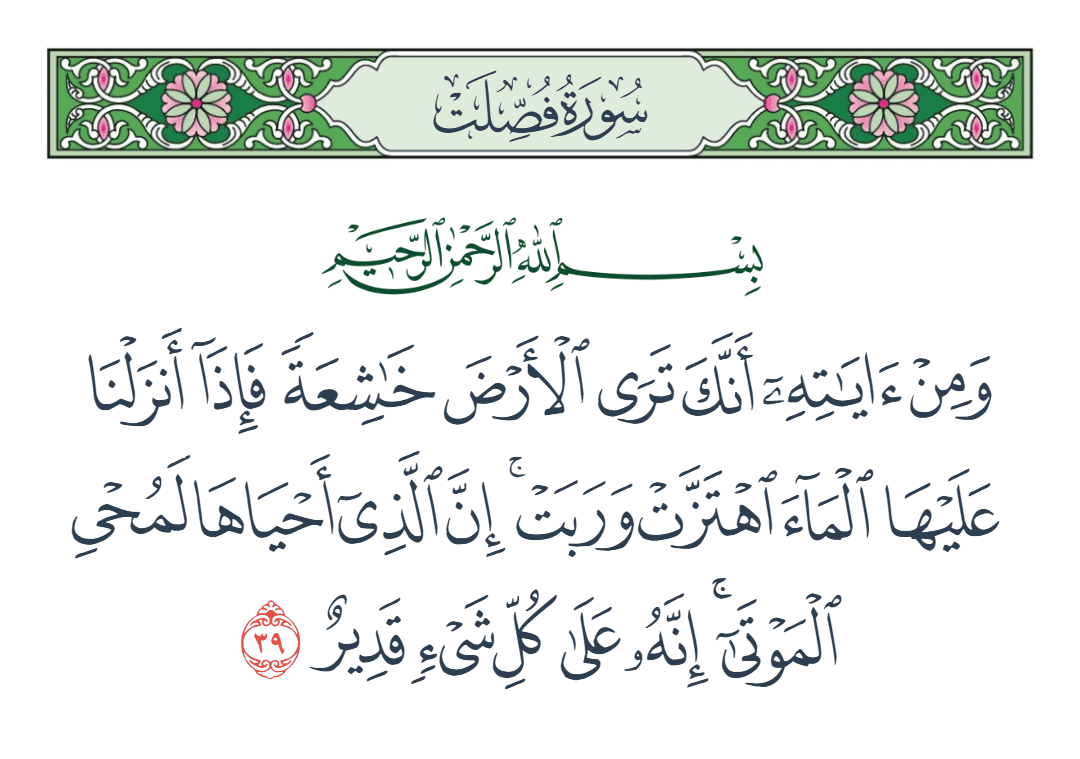  سورة فصلت الآية رقم 39