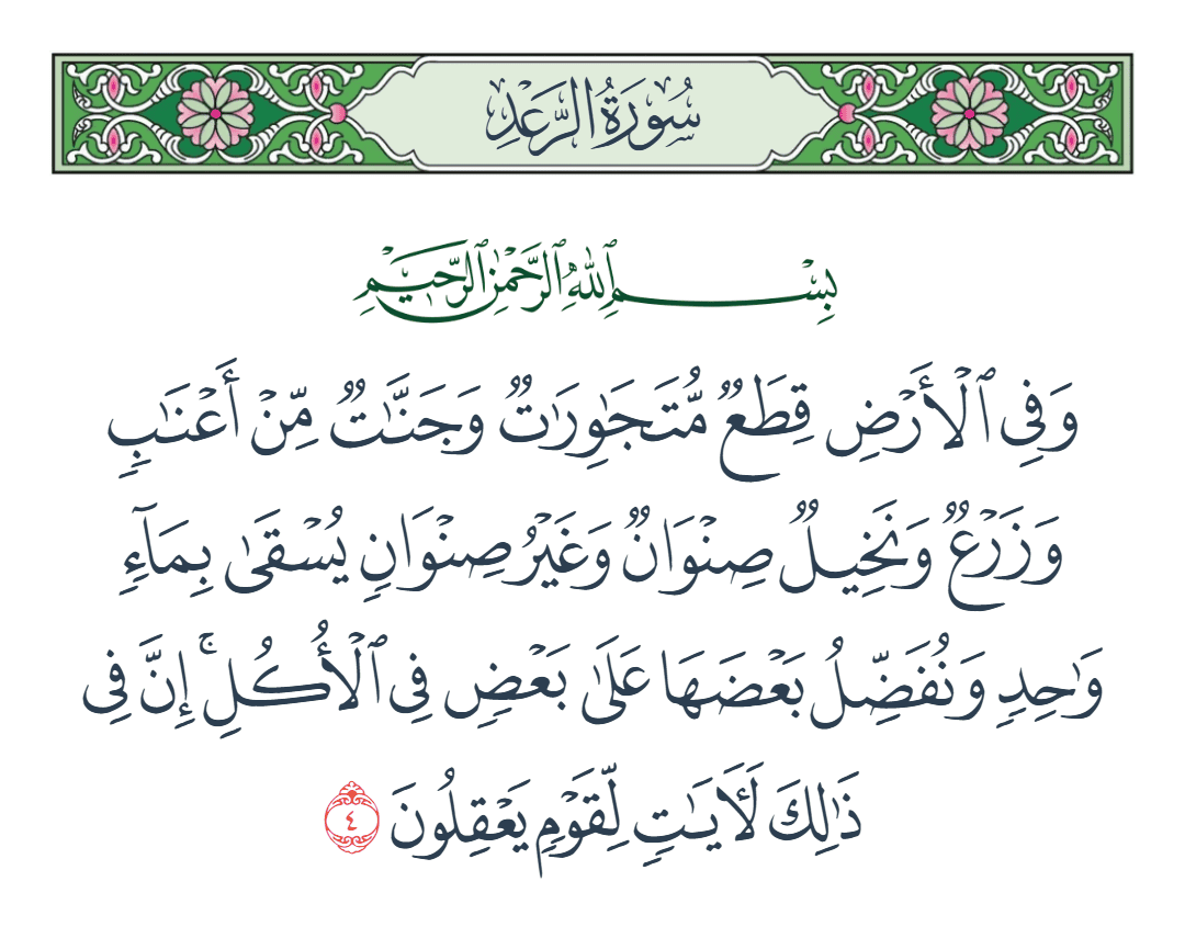  سورة الرعد الآية رقم 4