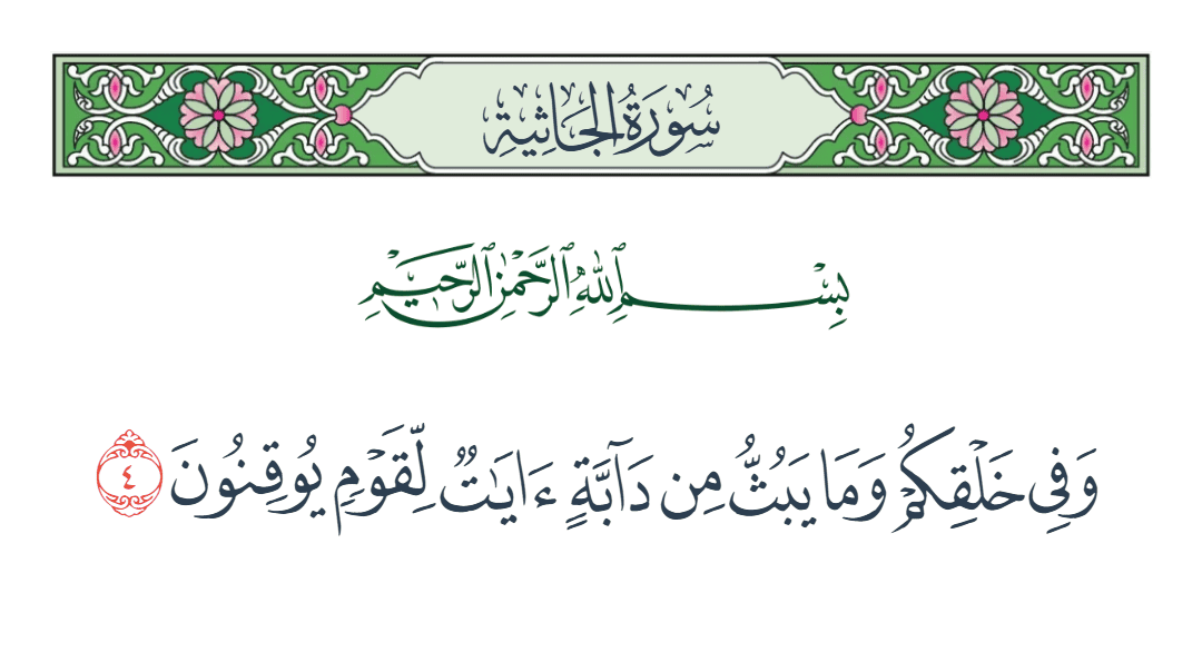  سورة الجاثية الآية رقم 4