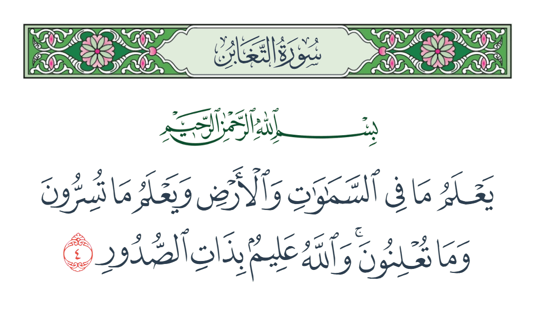  سورة التغابن الآية رقم 4