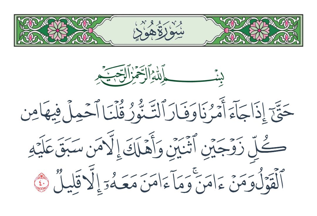  سورة هود الآية رقم 40