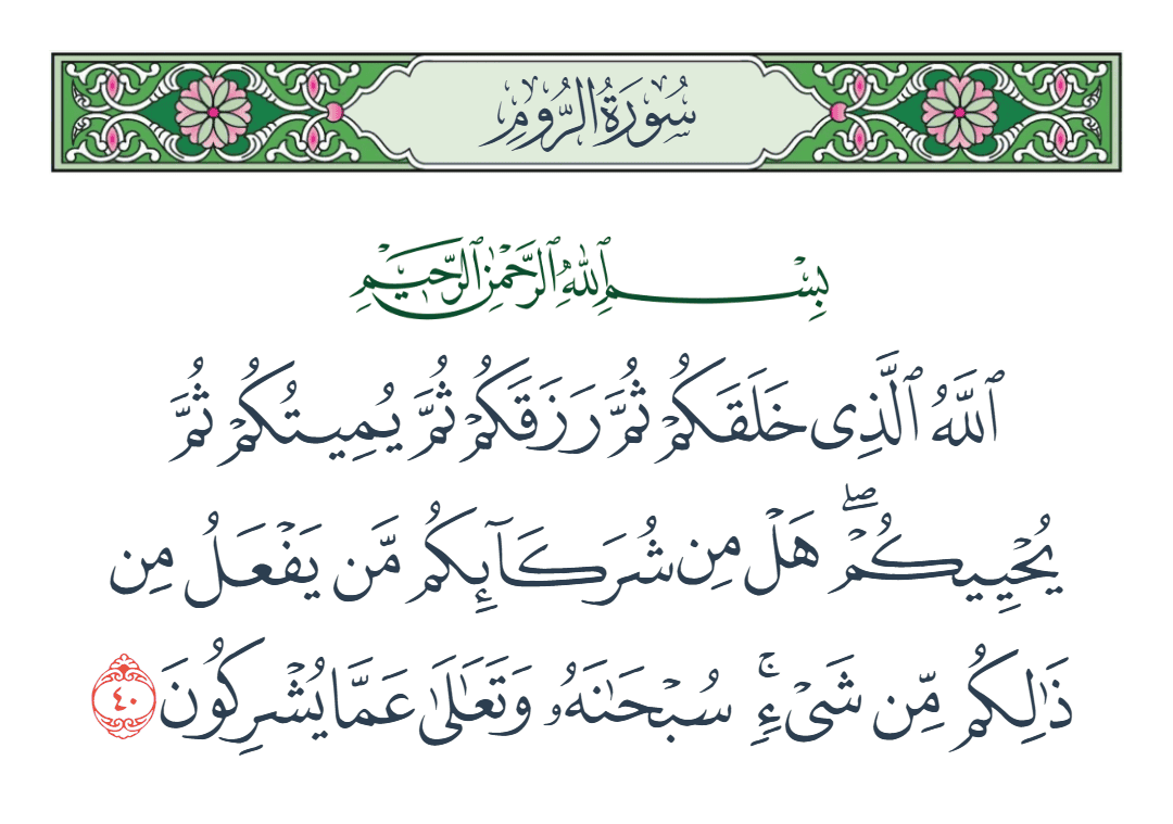  سورة الروم الآية رقم 40