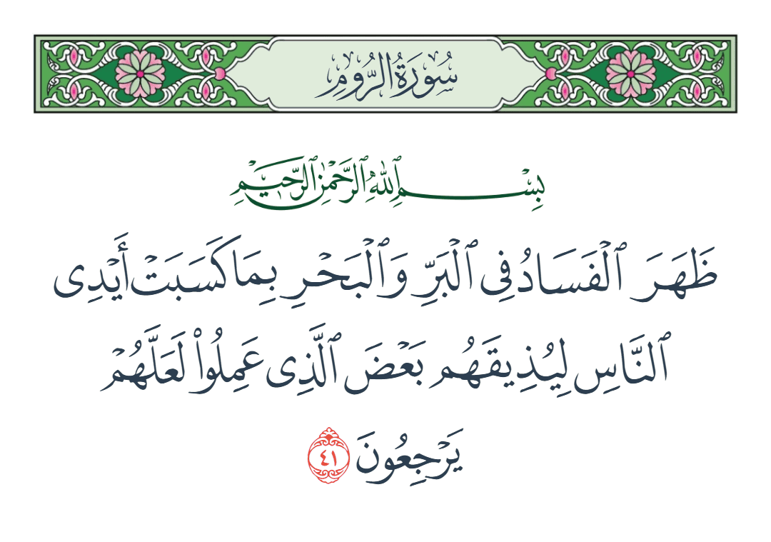  سورة الروم الآية رقم 41