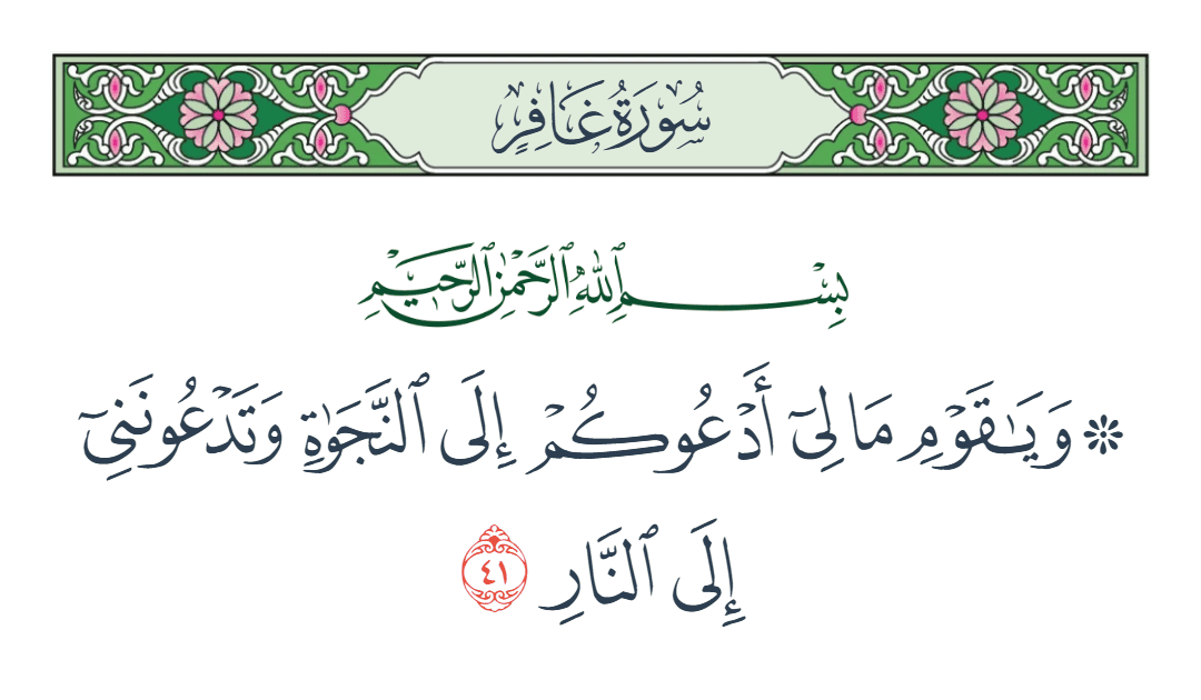 سورة غافر الآية رقم 41