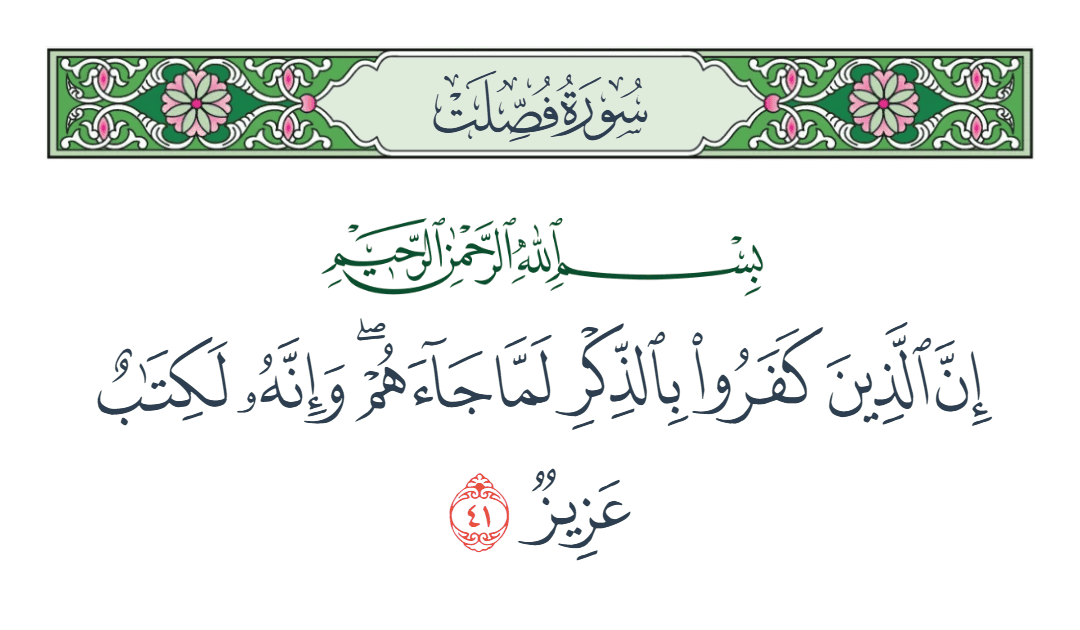  سورة فصلت الآية رقم 41