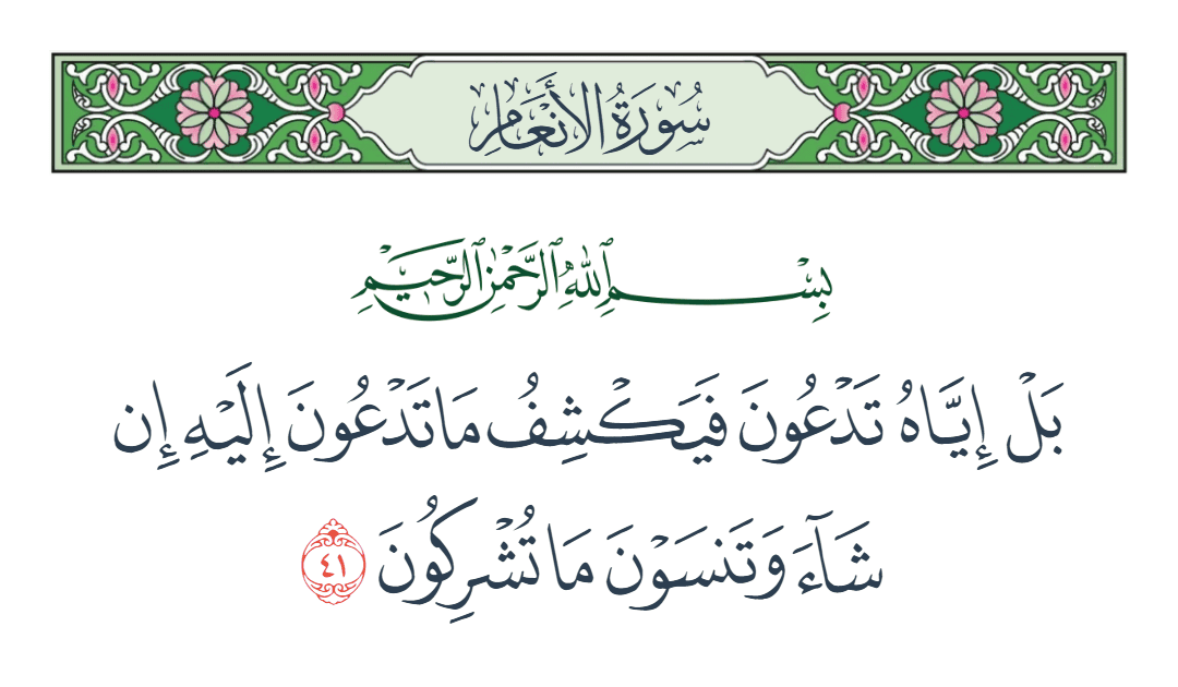  سورة الأنعام الآية رقم 41