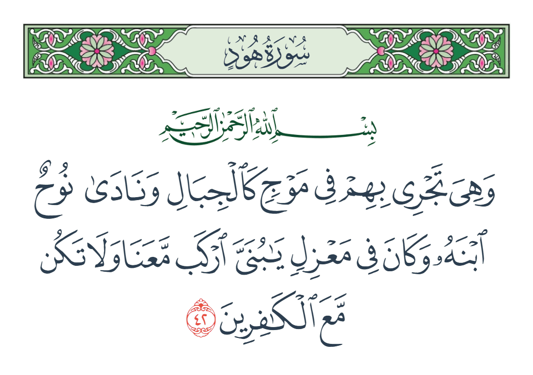  سورة هود الآية رقم 42