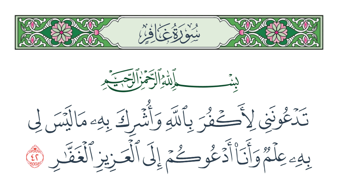  سورة غافر الآية رقم 42