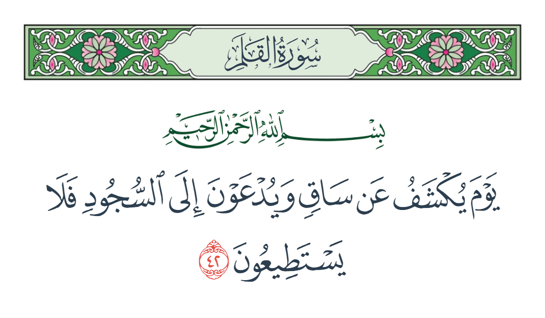  سورة القلم الآية رقم 42