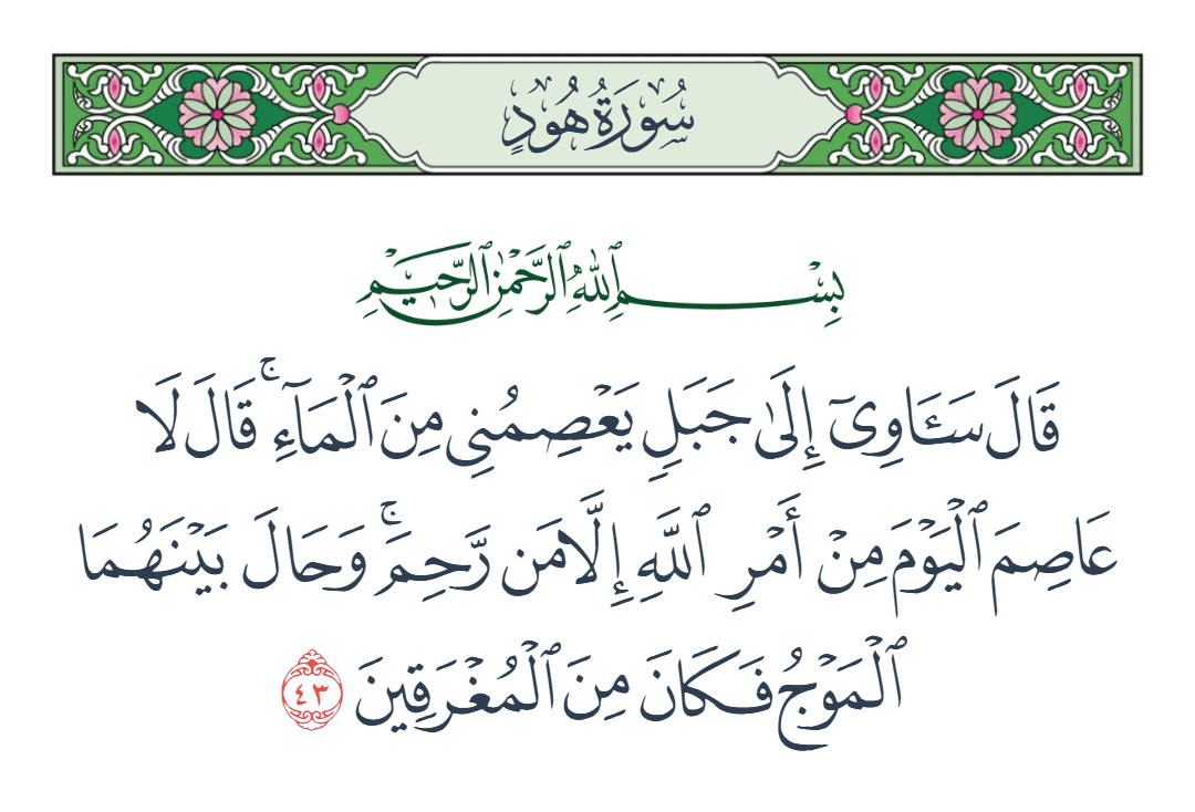  سورة هود الآية رقم 43