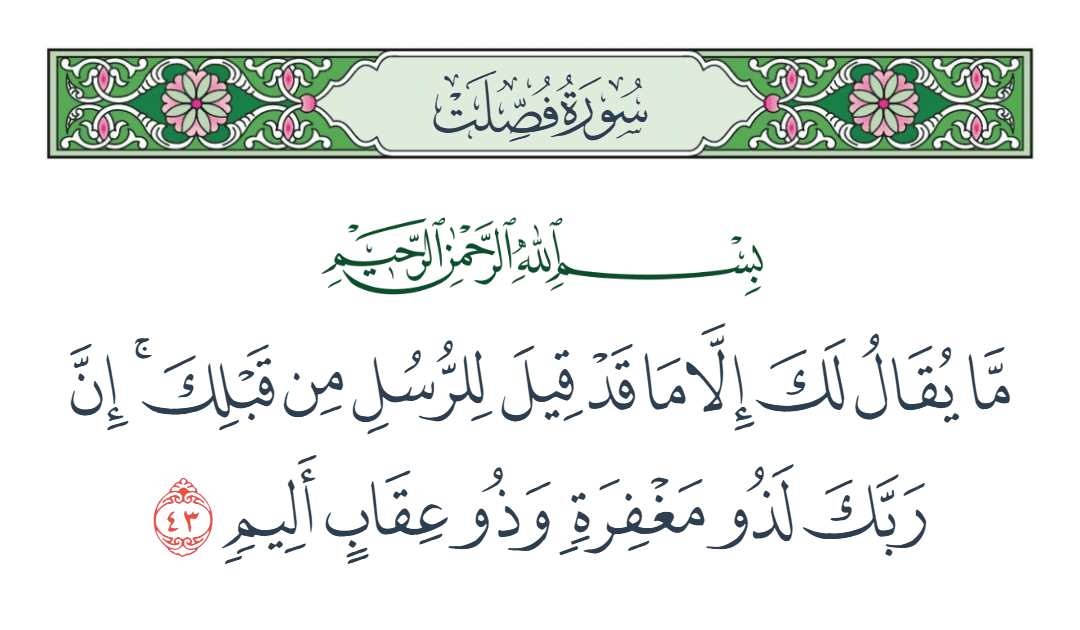  سورة فصلت الآية رقم 43