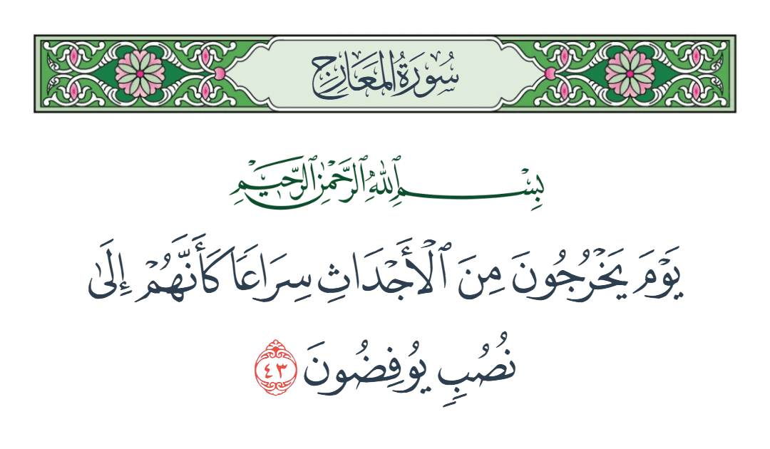  سورة المعارج الآية رقم 43