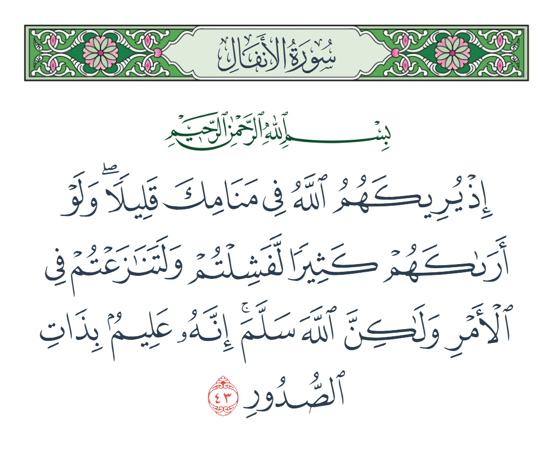  سورة الأنفال الآية رقم 43