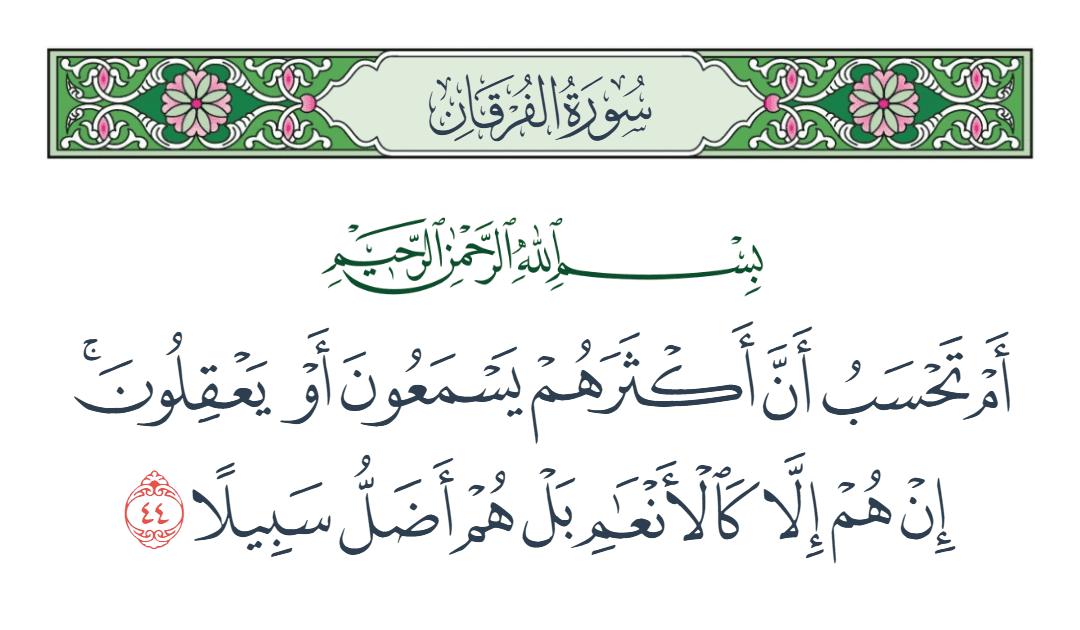  سورة الفرقان الآية رقم 44