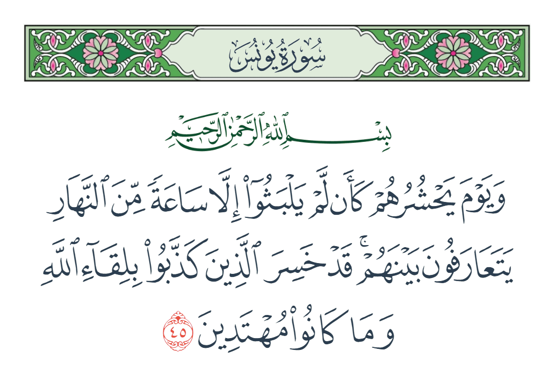  سورة يونس الآية رقم 45