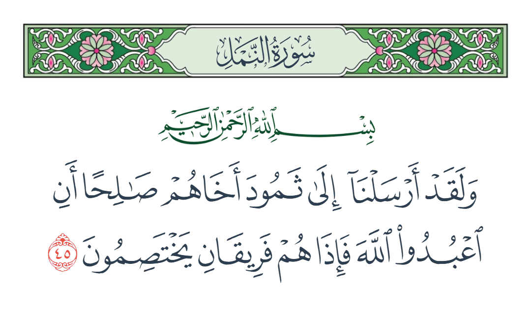  سورة النمل الآية رقم 45