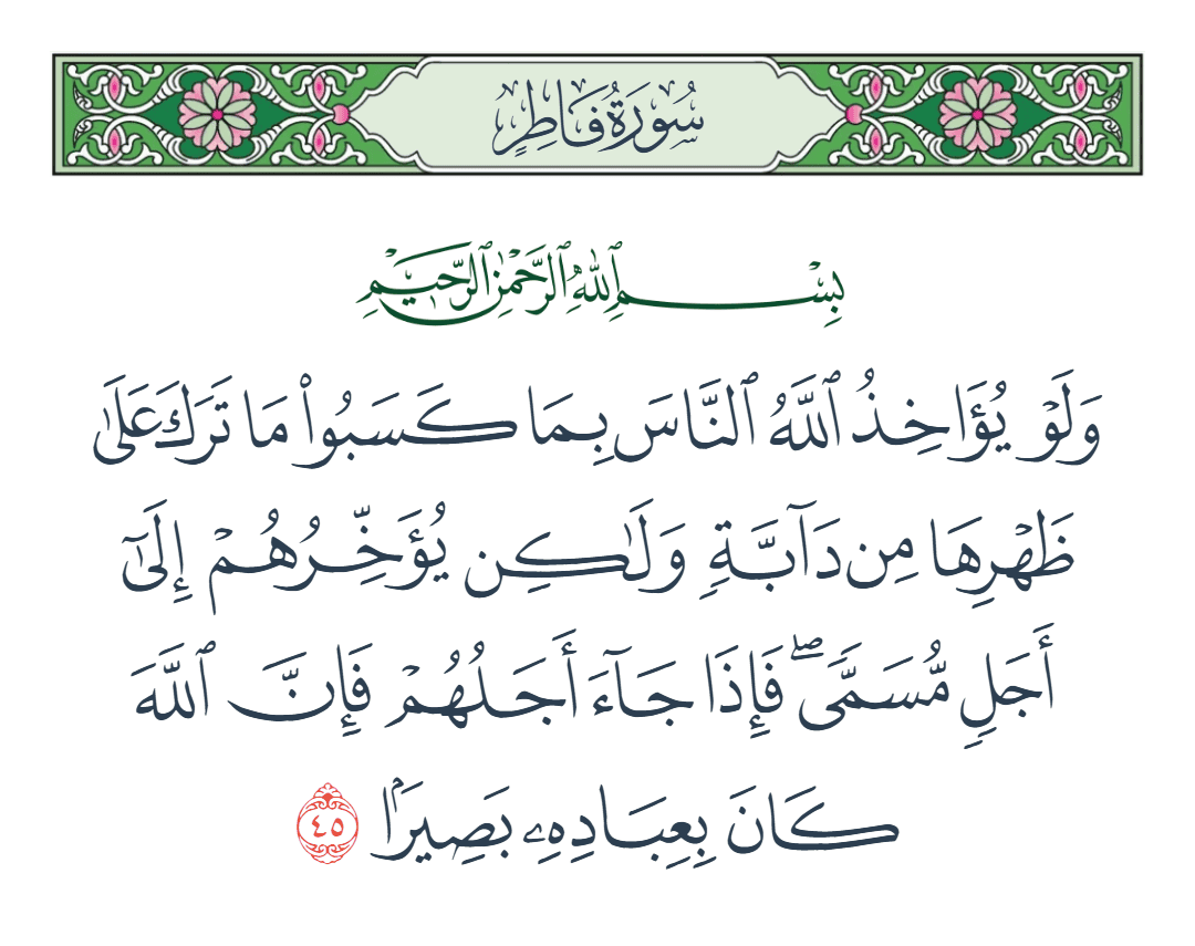  سورة فاطر الآية رقم 45
