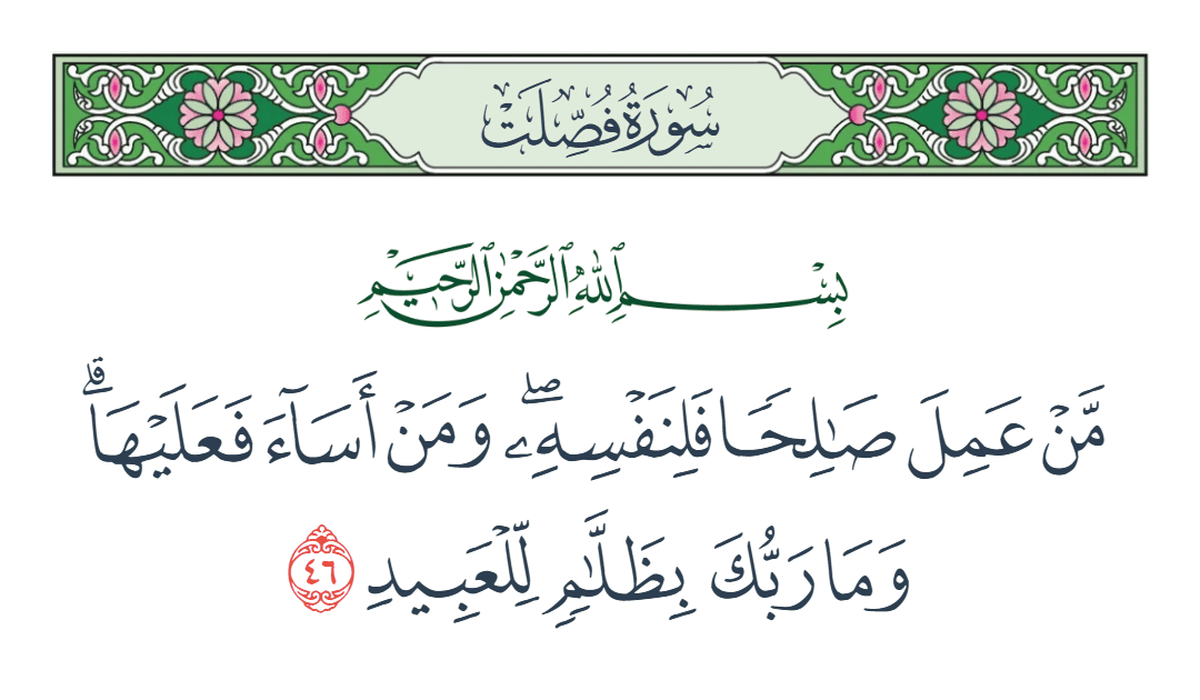  سورة فصلت الآية رقم 46