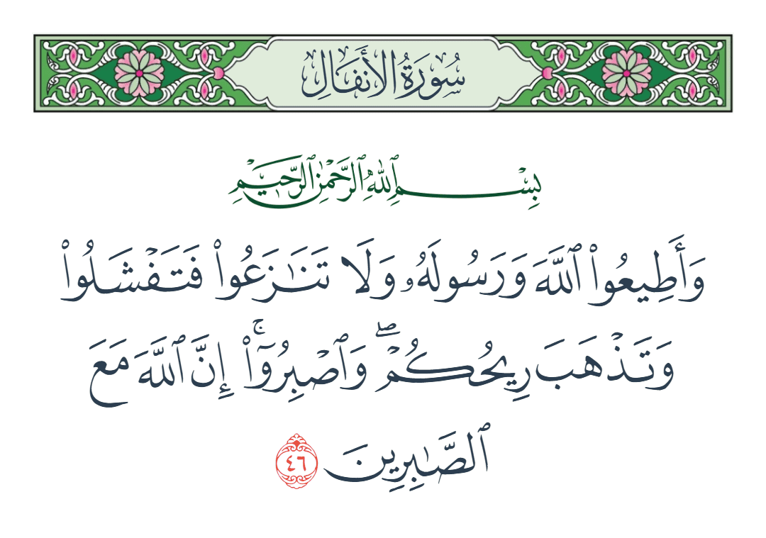  سورة الأنفال الآية رقم 46