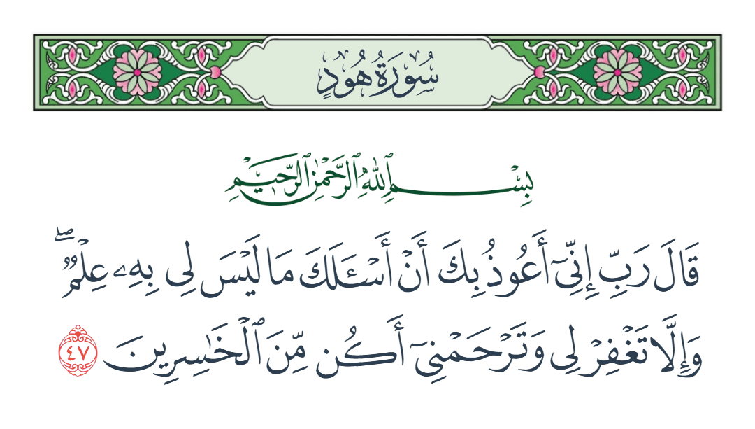  سورة هود الآية رقم 47
