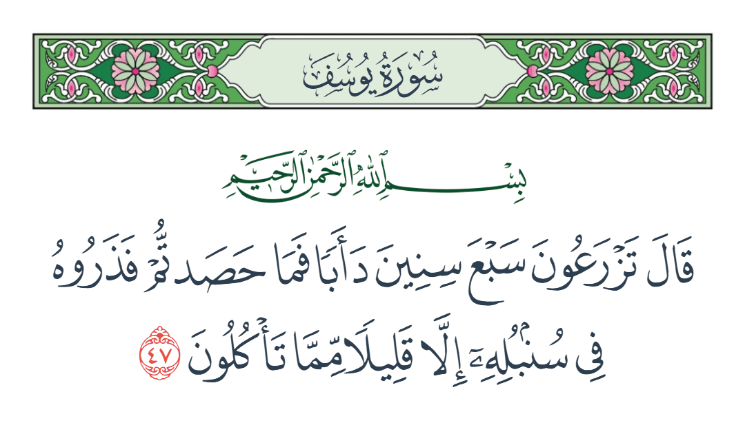  سورة يوسف الآية رقم 47