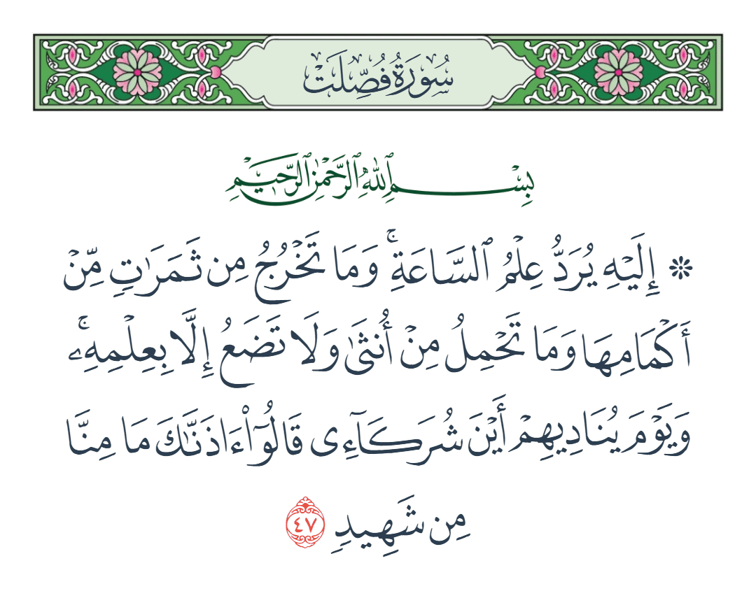  سورة فصلت الآية رقم 47