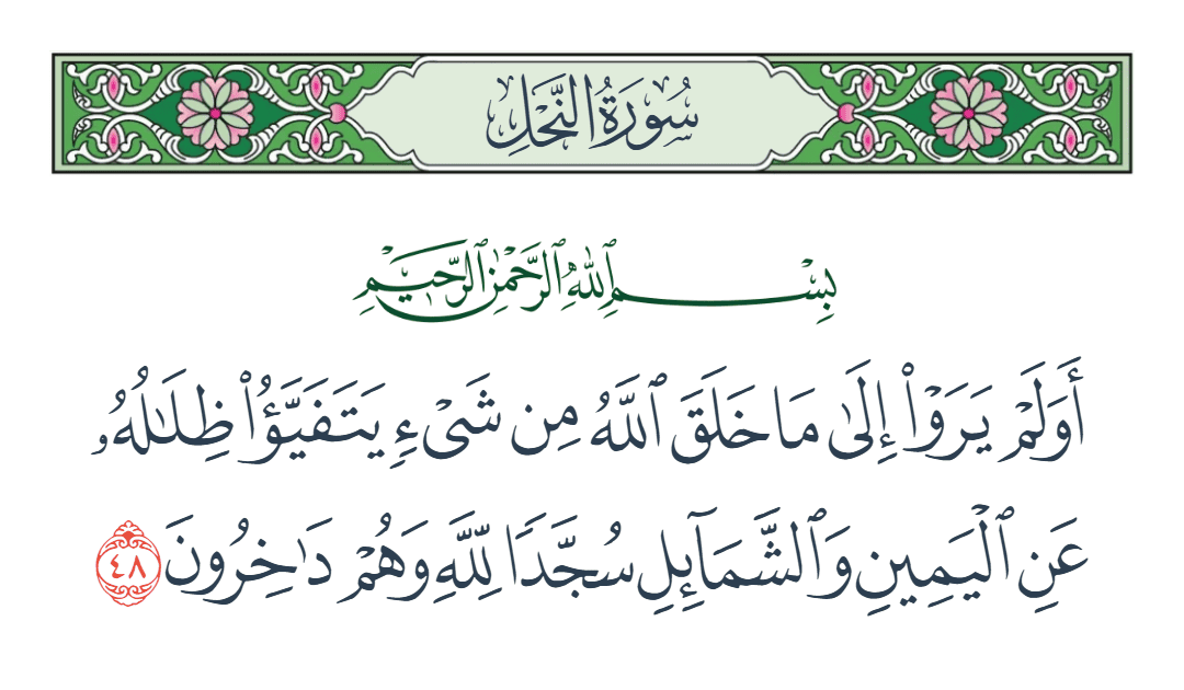  سورة النحل الآية رقم 48
