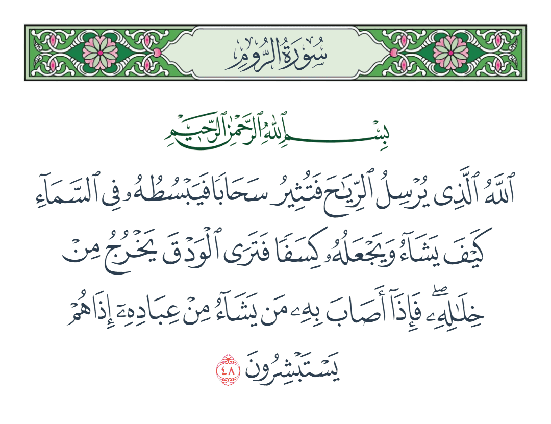  سورة الروم الآية رقم 48
