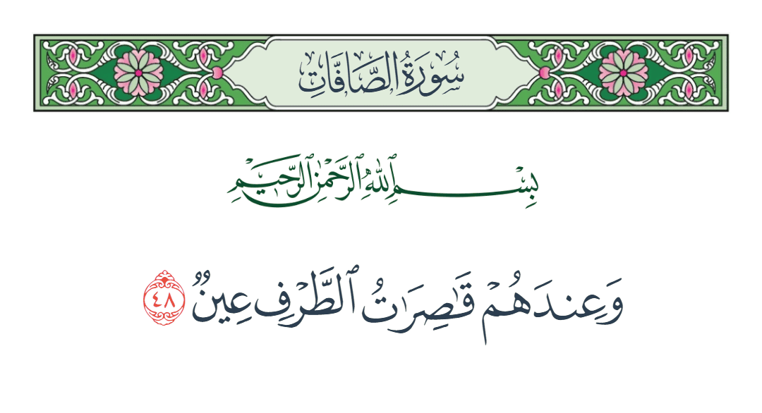  سورة الصافات الآية رقم 48