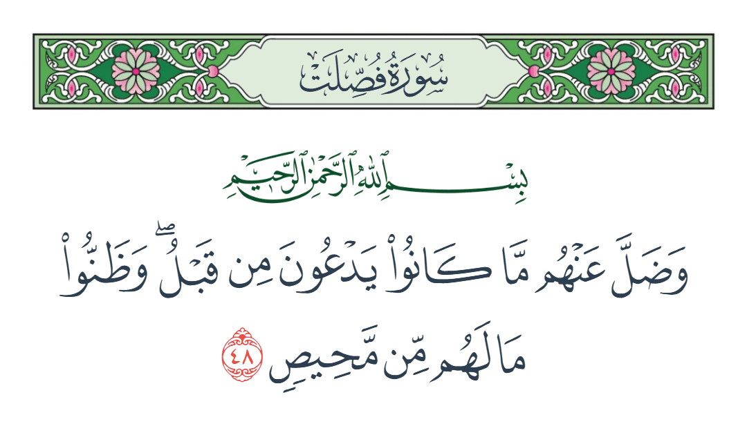  سورة فصلت الآية رقم 48