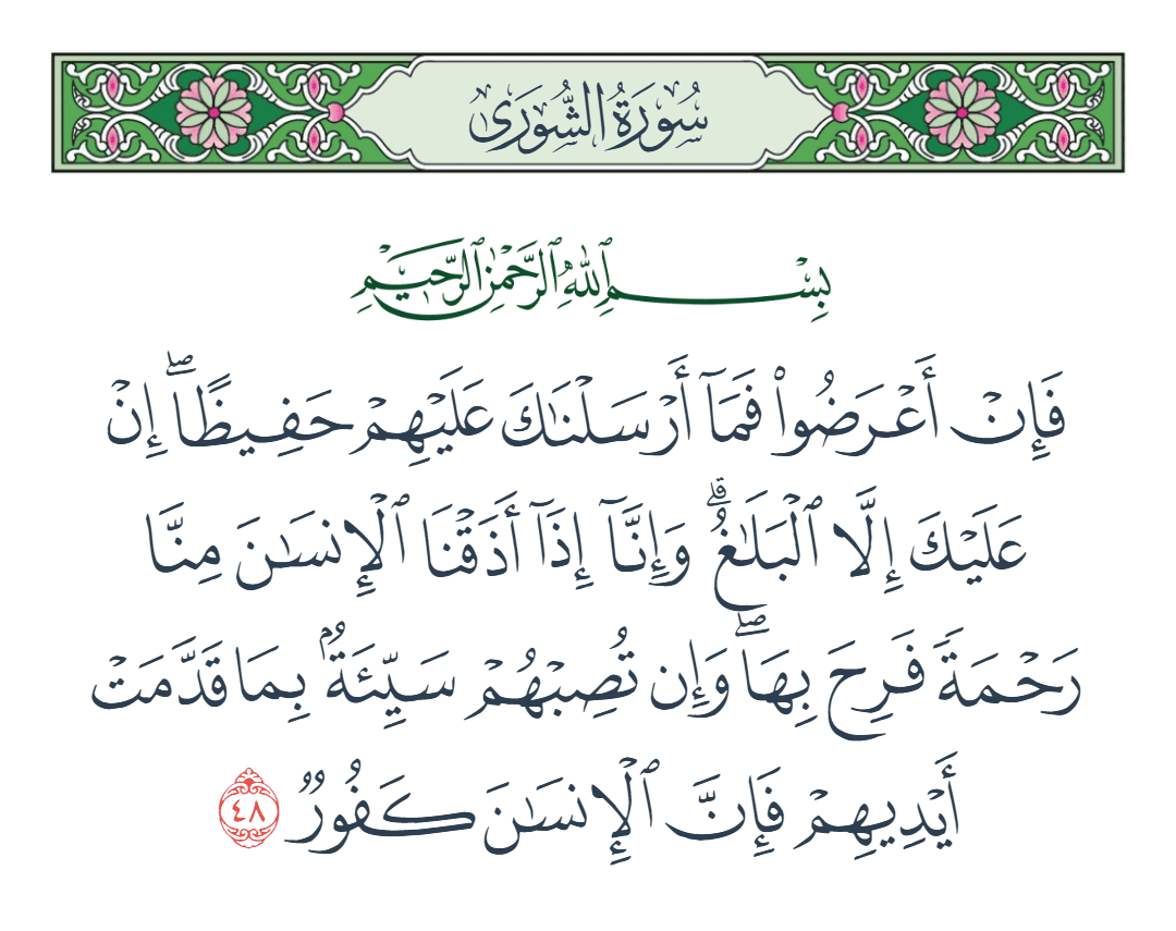  سورة الشورى الآية رقم 48
