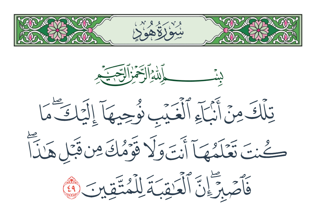  سورة هود الآية رقم 49