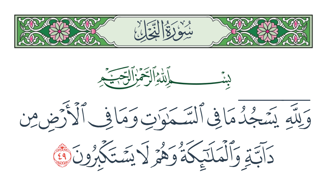  سورة النحل الآية رقم 49