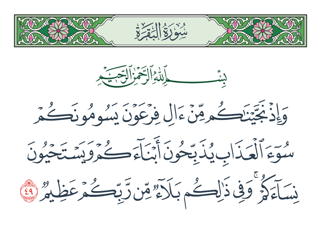  سورة البقرة الآية رقم 49