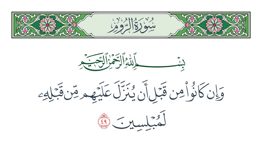  سورة الروم الآية رقم 49