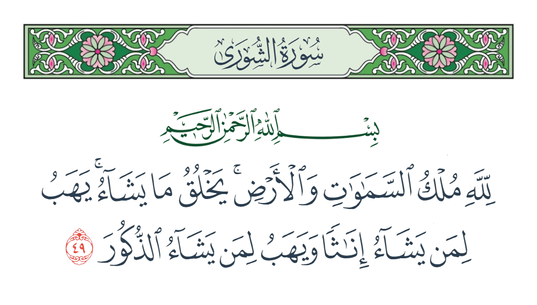  سورة الشورى الآية رقم 49