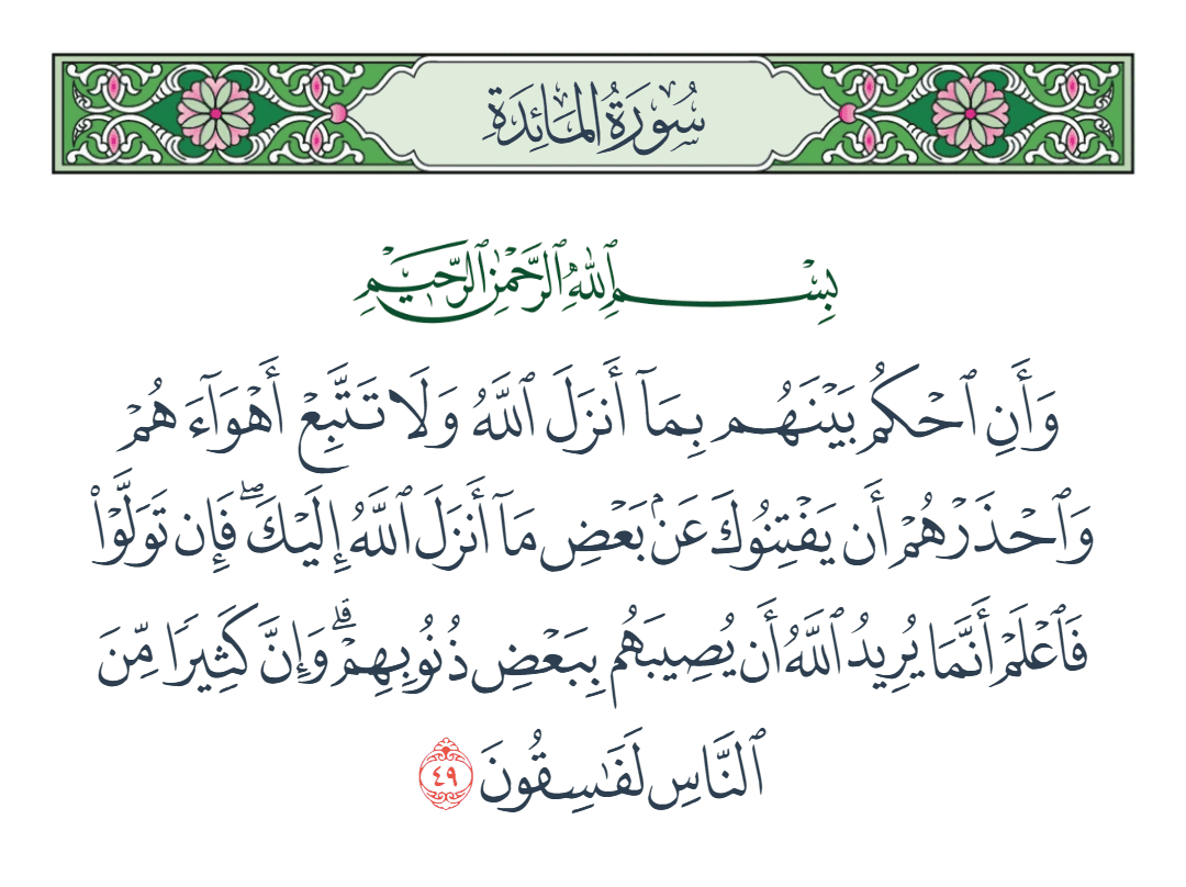  سورة المائدة الآية رقم 49