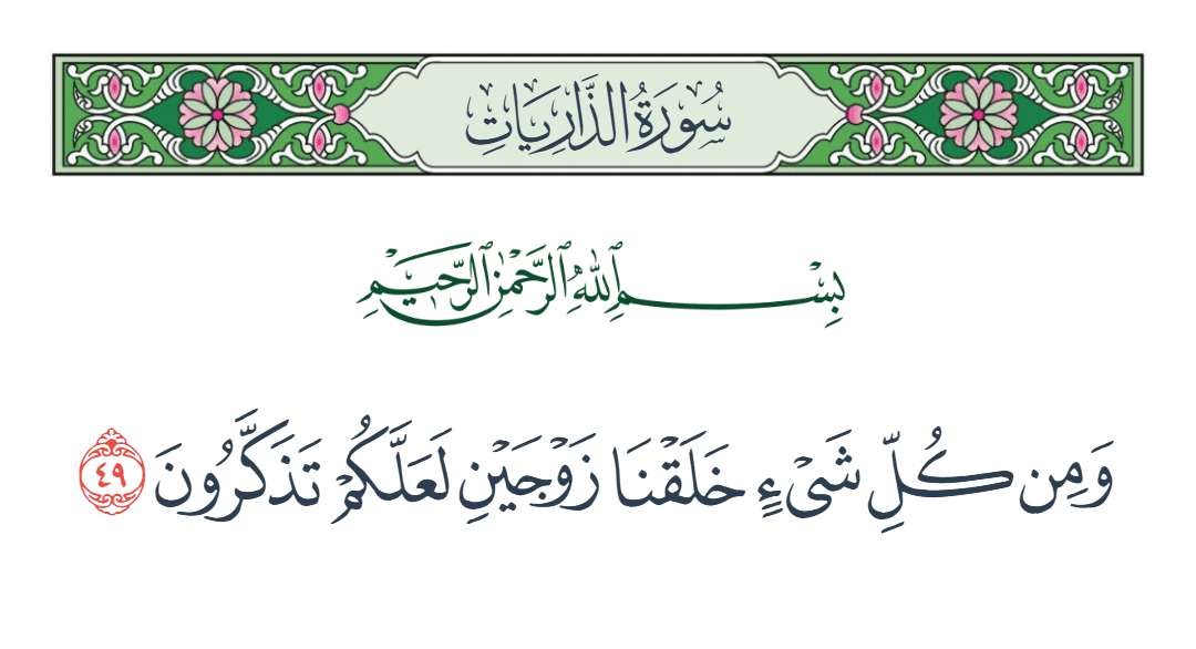  سورة الذاريات الآية رقم 49