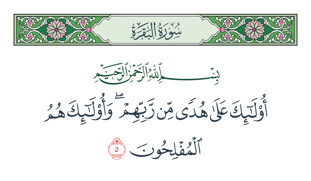  سورة البقرة الآية رقم 5